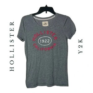 1556. HOLLISTER Y2K SHORT SLEEVE TOP GRAY IN COLOR‎ WITH PINK/WHITE LETTERING LG